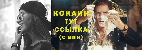 соль ск Белокуриха