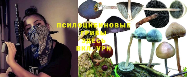 мяу мяу кристалл Магас
